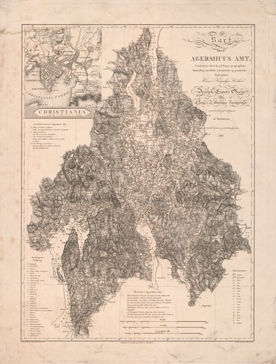 Dragon in Foliage (piirustus, recto); kalligrafia, (toisin) tekijältä G. og Ramm Munthe